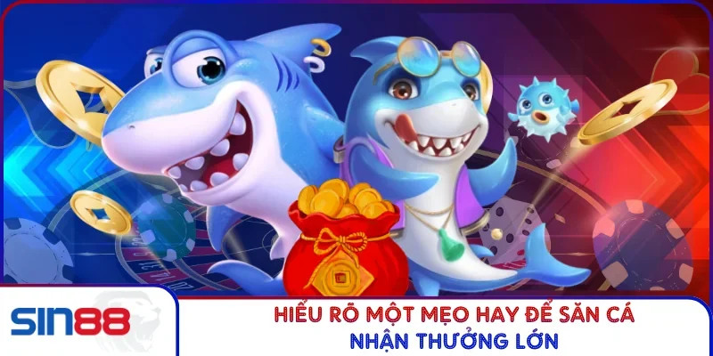 Hiểu rõ một mẹo hay để săn cá nhận thưởng lớn