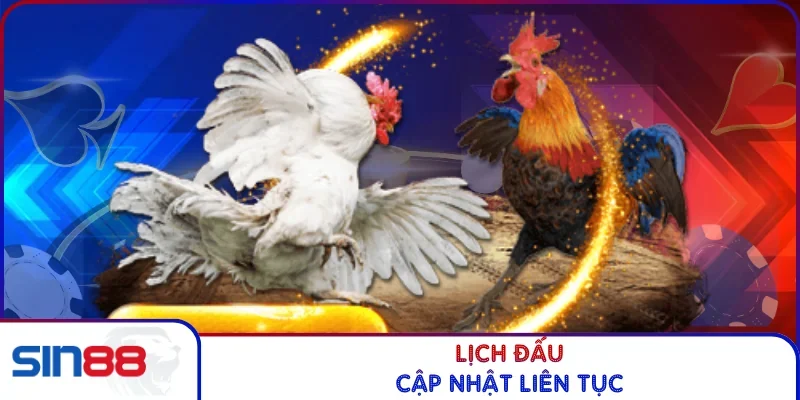Lịch đấu cập nhật liên tục