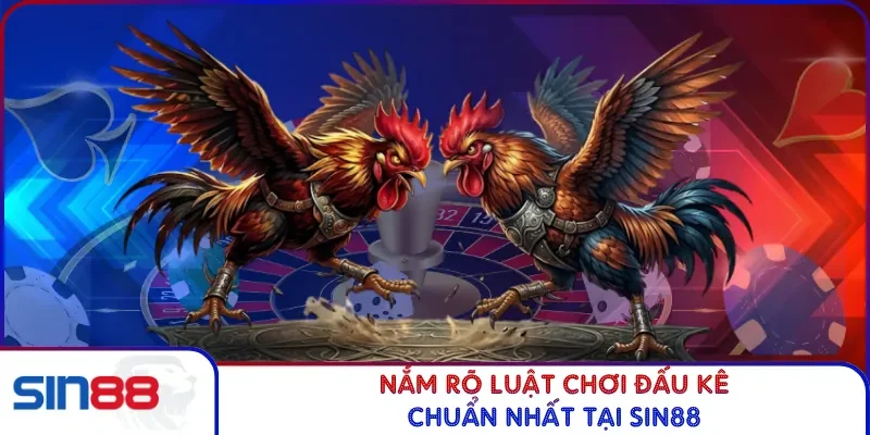 Nắm rõ luật chơi đấu kê chuẩn nhất tại SIN88