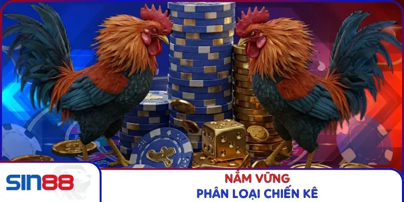 Nắm vững phân loại chiến kê
