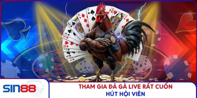 Tham gia đá gà live rất cuốn hút hội viên